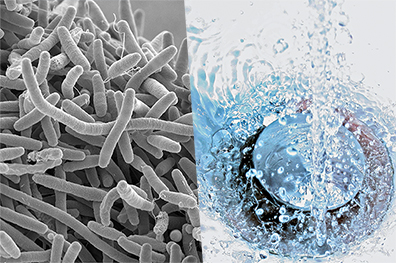 Sicheres Trinkwasser durch Detektion von Legionellen in Trinkwasserinstallationen Sicheres Trinkwasser durch Detektion von Legionellen in Trinkwasserinstallationen