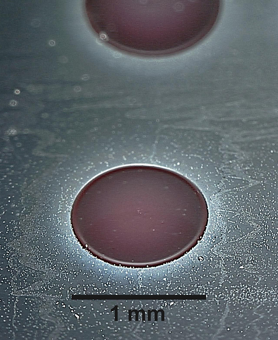Gel-based drying reagent spots