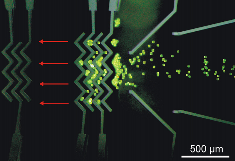 Microparticles as Sensors for Bioanalysis