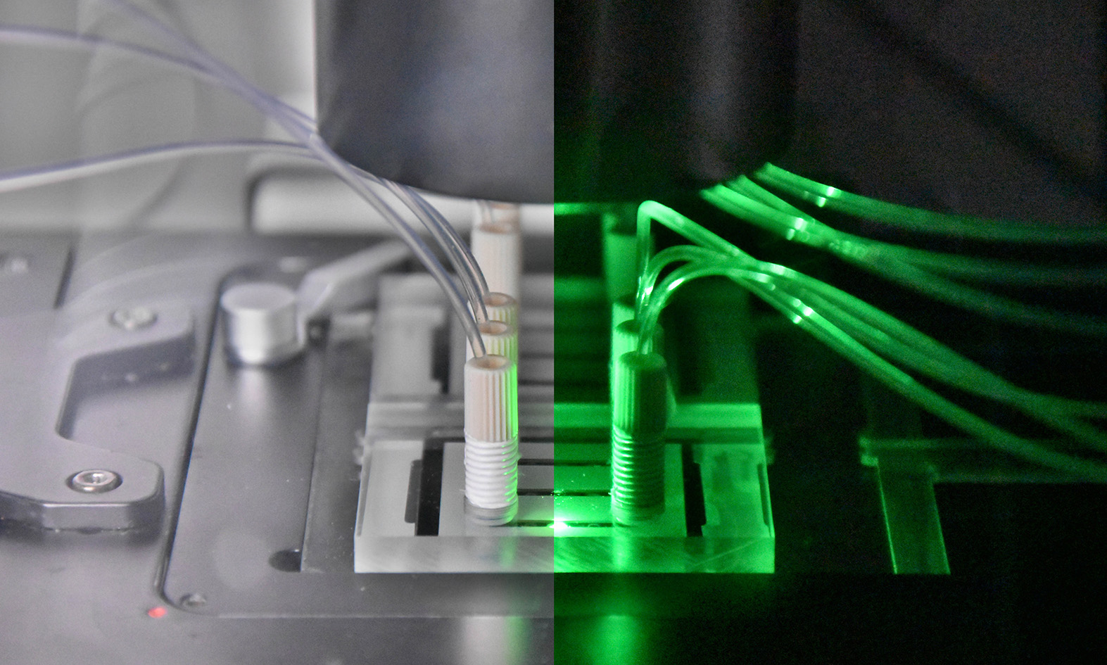 Microfluidic bioreactors for in-vitro toxicity measurements (Liver-on-a-Chip)