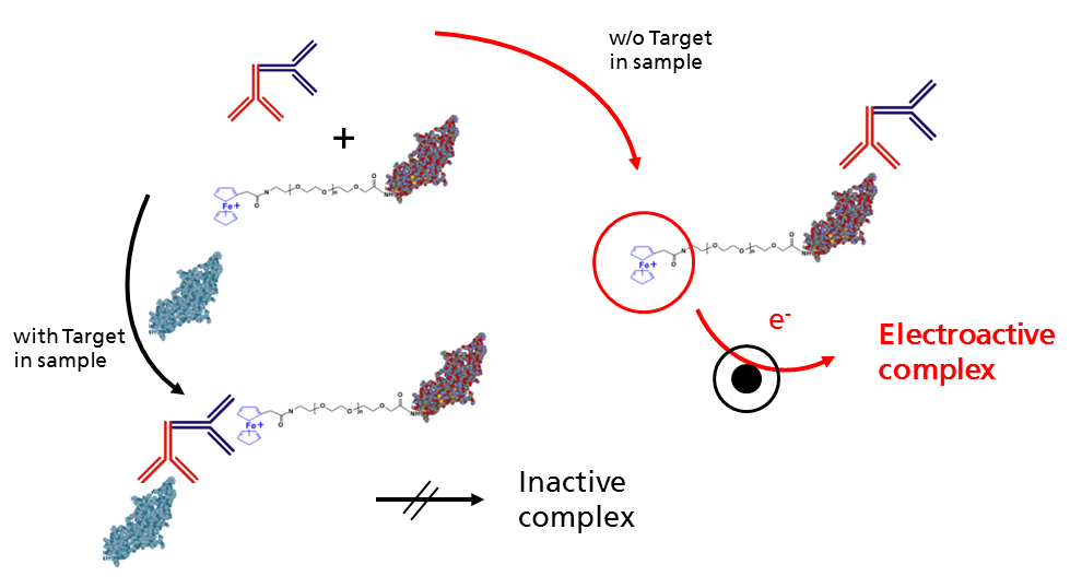 Competitive redox quenching immunoassay