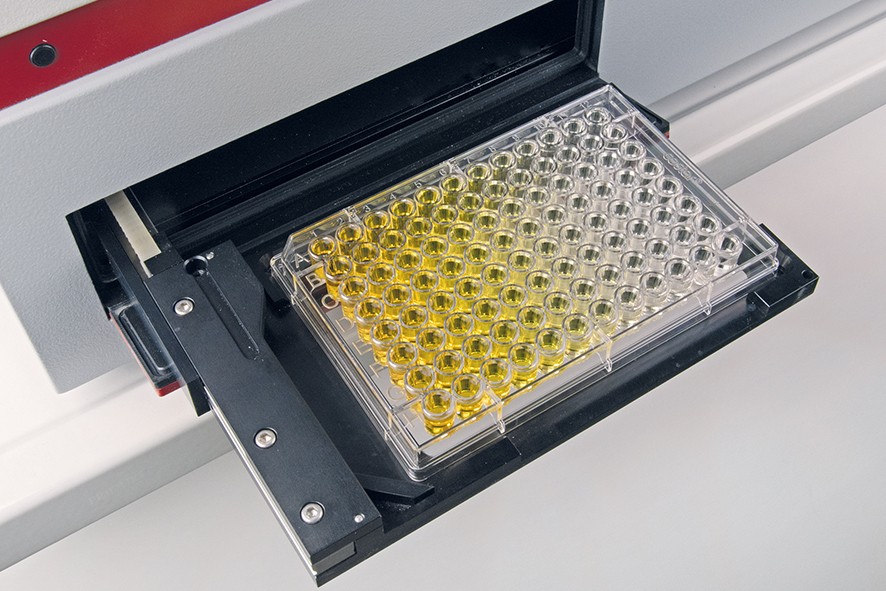 Cell-free antibody synthesis Functional analysis of cell-free produced antibodies using ELISA