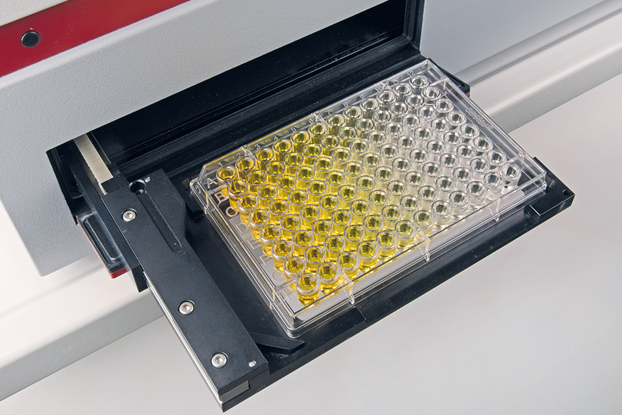 Functional analysis of cell-free produced antibodies using ELISA